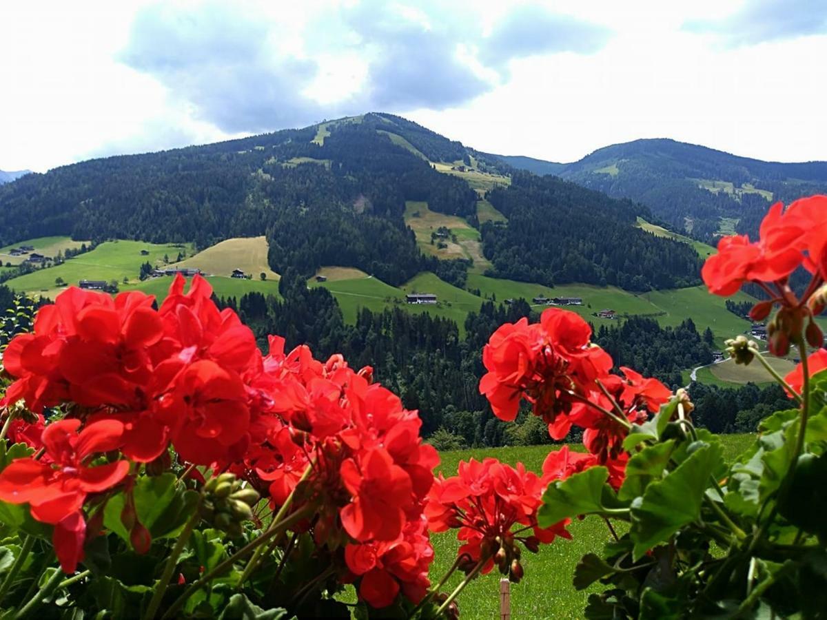 Aussermooserhof ألباخ المظهر الخارجي الصورة